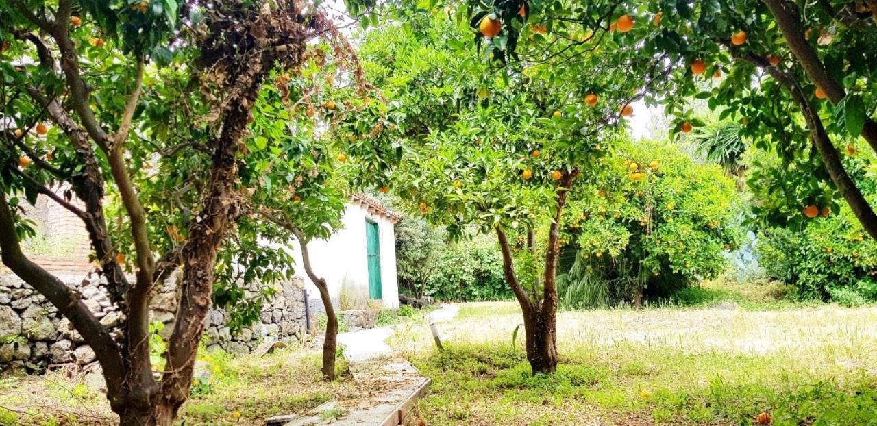فيلا L'Aranceto أتشيريالي المظهر الخارجي الصورة